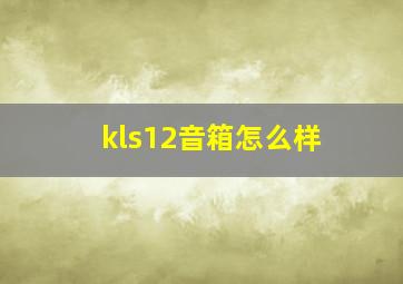 kls12音箱怎么样