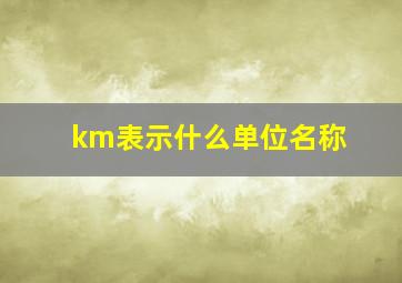 km表示什么单位名称