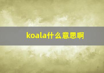 koala什么意思啊