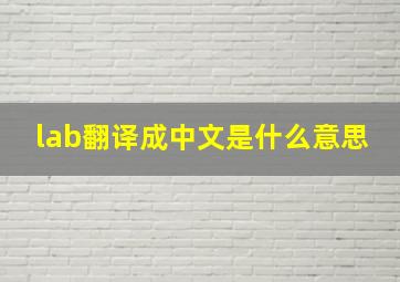 lab翻译成中文是什么意思