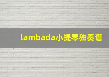 lambada小提琴独奏谱