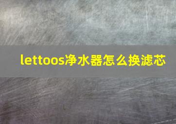 lettoos净水器怎么换滤芯