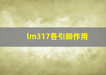 lm317各引脚作用