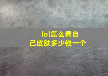 lol怎么看自己皮肤多少钱一个