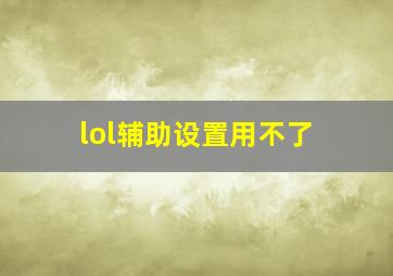 lol辅助设置用不了