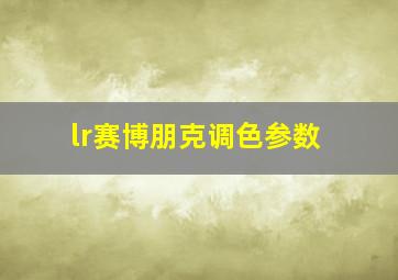 lr赛博朋克调色参数