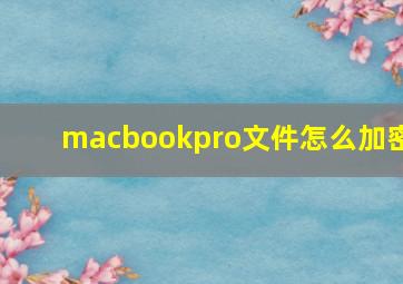 macbookpro文件怎么加密