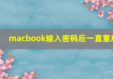 macbook输入密码后一直重启