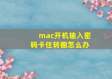 mac开机输入密码卡住转圈怎么办