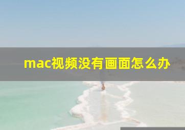 mac视频没有画面怎么办