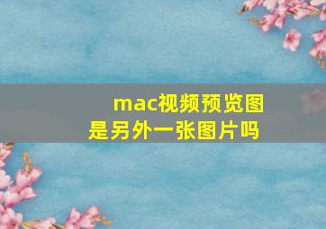 mac视频预览图是另外一张图片吗