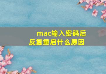 mac输入密码后反复重启什么原因