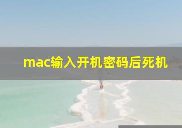 mac输入开机密码后死机