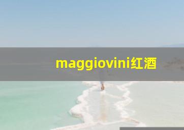 maggiovini红酒