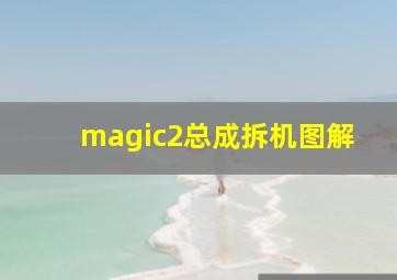 magic2总成拆机图解