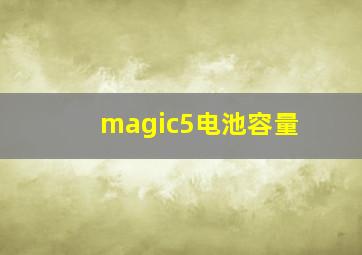 magic5电池容量