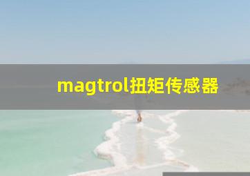 magtrol扭矩传感器