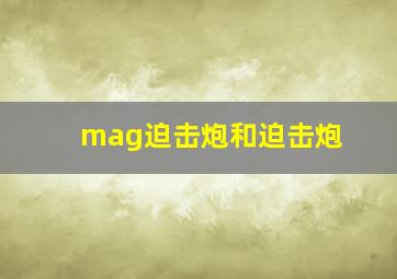 mag迫击炮和迫击炮