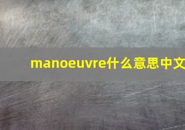 manoeuvre什么意思中文