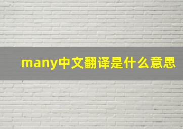 many中文翻译是什么意思