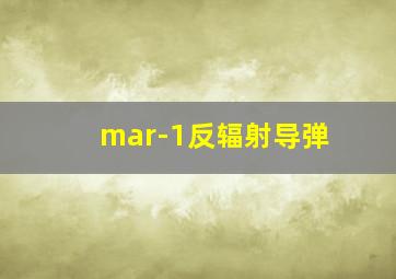 mar-1反辐射导弹