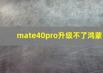 mate40pro升级不了鸿蒙