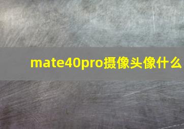 mate40pro摄像头像什么