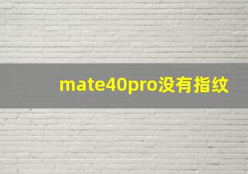 mate40pro没有指纹