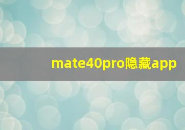 mate40pro隐藏app