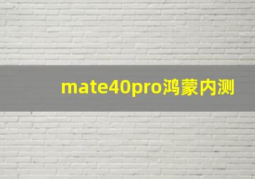 mate40pro鸿蒙内测