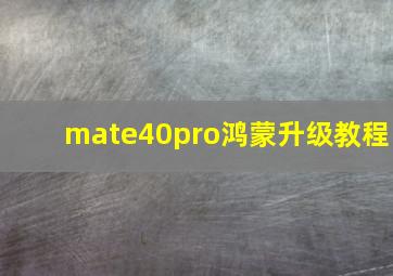 mate40pro鸿蒙升级教程