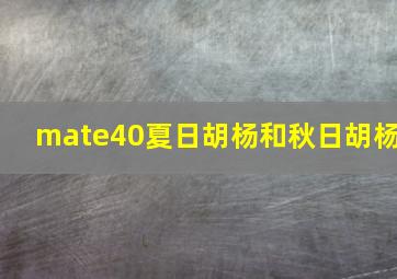 mate40夏日胡杨和秋日胡杨