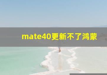 mate40更新不了鸿蒙