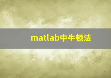 matlab中牛顿法