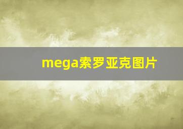 mega索罗亚克图片