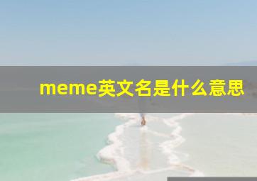 meme英文名是什么意思