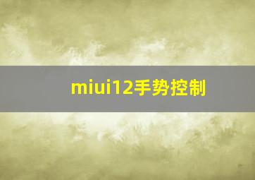 miui12手势控制