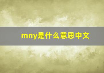 mny是什么意思中文