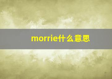 morrie什么意思