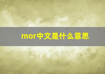 mor中文是什么意思