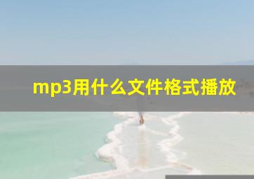 mp3用什么文件格式播放