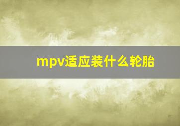 mpv适应装什么轮胎