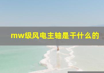 mw级风电主轴是干什么的