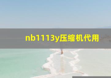 nb1113y压缩机代用