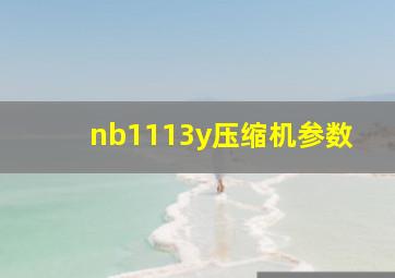 nb1113y压缩机参数