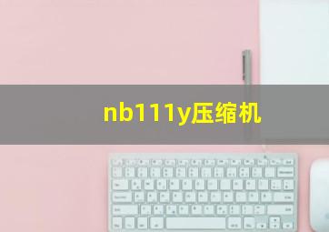 nb111y压缩机