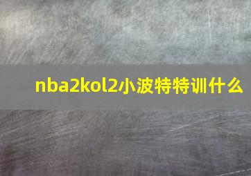 nba2kol2小波特特训什么