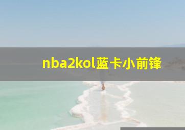 nba2kol蓝卡小前锋