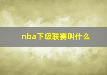 nba下级联赛叫什么