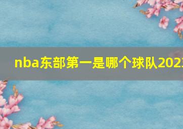 nba东部第一是哪个球队2023